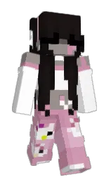 Minecraft skin — Classic model