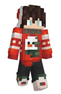 Front of Dejwol's skin