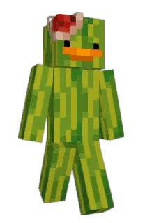 Front of UglyManFunPlans's skin
