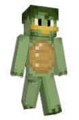 planewithap
