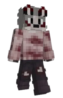Front of HETOPY's skin
