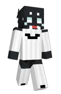 Front of fellagort's skin