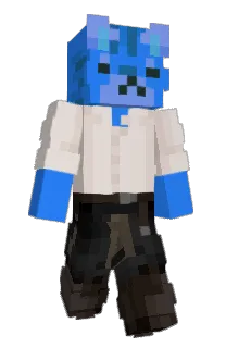 Front of awawasan's skin