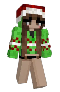 Front of ssilb's skin