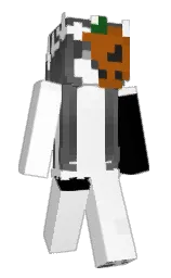white and black Minecraft skin — Slim model