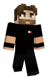 Recieri's Minecraft skin wearing the Migrator cape