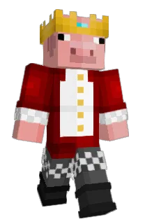 Front of 13alexdesouza's skin