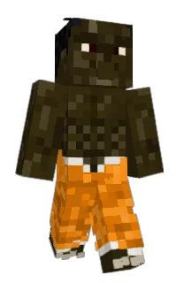 Front of TUReCaptcha's skin