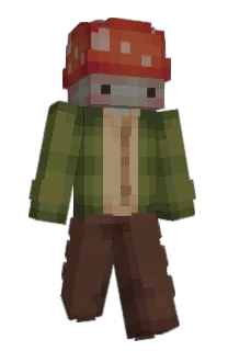 Front of hujaro's skin
