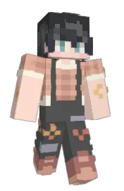 Skin preview