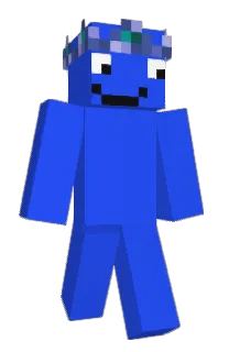 Front of IGNShieldings's skin