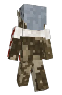 Front of zygmari's skin