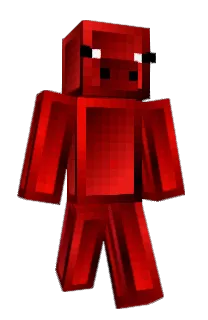 Front of Cathbell's skin