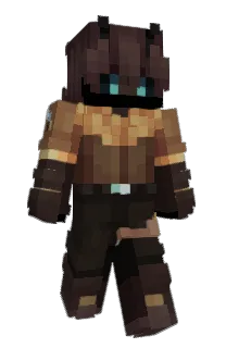 Front of Shooken's skin