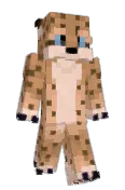 rukii_of_skalitz