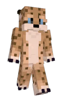 Front of rukii_of_skalitz's skin