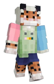 Front of Minecraft skin