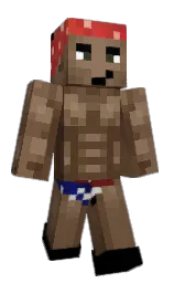 Custom render preview