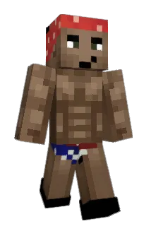 2eurovoorumoeder Minecraft avatar full body