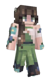 Front of Iamnotatoaster's skin