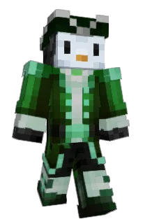 Front of Penguillon's skin