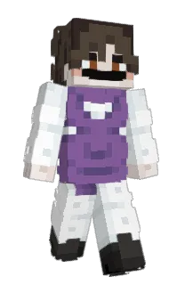 veshremy's Minecraft skin