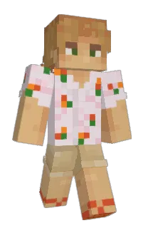 Front of Viggotor's skin