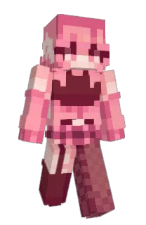 tinctrlz's Minecraft skin