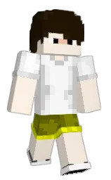 Classic Minecraft skin