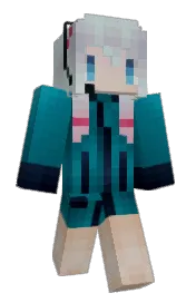 Skin preview