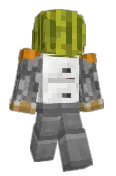 Virus_ondatri