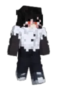 EndFle