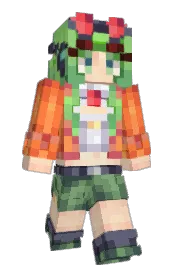 Skin preview