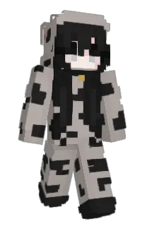 Front of rvez's skin