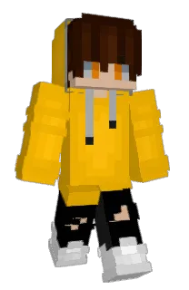 Front of _CAMAG's skin