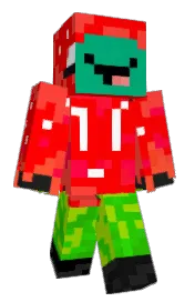 Skin preview