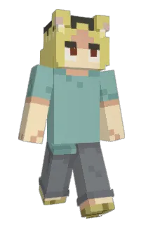 Front of Tado's skin