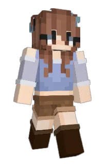 Front of MeiDraw's skin