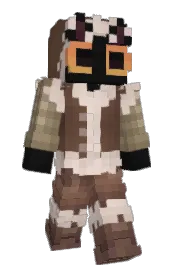 Skin preview