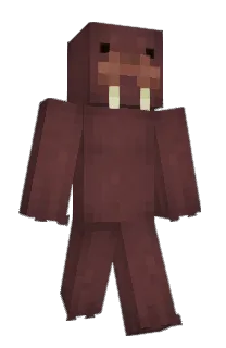 Front of 5Sity's skin