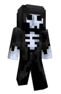 Front of S3hnseX's skin
