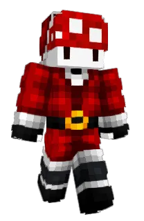 Front of Rdik's skin