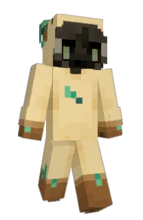 abearr's Minecraft skin
