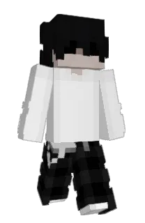 Front of shhort's skin