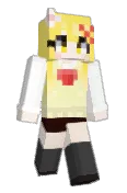 SUS_Ham