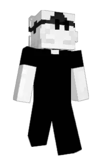 Front of ppt__'s skin