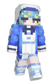 Skin preview