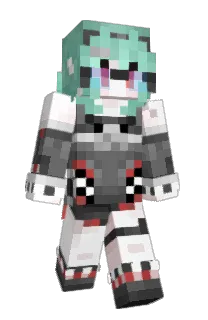 Don_Tu307's Minecraft skin