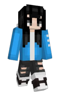 Front of Cibermaxi's skin