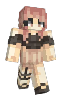 Front of plumply's skin